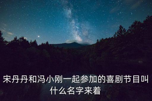 宋丹丹馮小剛的評委節(jié)目是什么，歡樂喜劇人評委都有誰