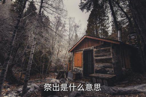 祭出重拳什么意思，重拳是甚么意思