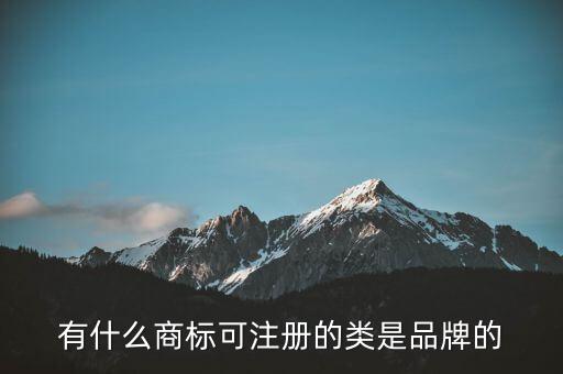 劉陽(yáng)的全盛集團(tuán)的注冊(cè)商標(biāo)是什么，有什么商標(biāo)可注冊(cè)的類(lèi)是品牌的