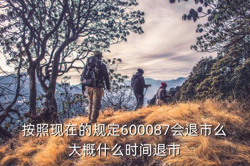 600087什么時(shí)候到3版，按照現(xiàn)在的規(guī)定600087會(huì)退市么大概什么時(shí)間退市