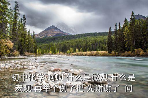 什么是宏觀事實，初中化學(xué) 呵呵 什么是微觀 什么是宏觀 再舉個例子把 先謝謝了  問
