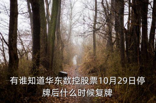 002248什么時(shí)候復(fù)牌，有誰(shuí)知道華東數(shù)控股票10月29日停牌后什么時(shí)候復(fù)牌