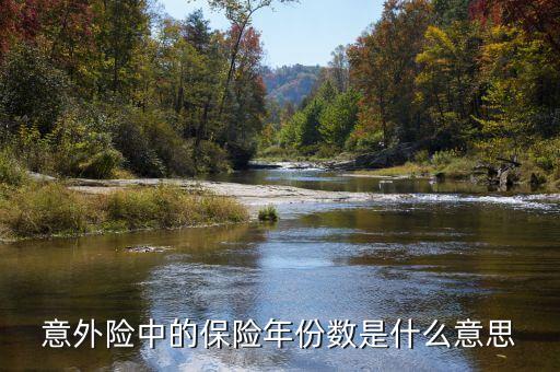 保險(xiǎn)數(shù)目指什么，意外險(xiǎn)中的保險(xiǎn)年份數(shù)是什么意思