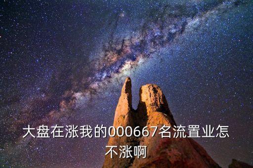 000667基金為什么不漲，大盤(pán)在漲我的000667名流置業(yè)怎不漲啊