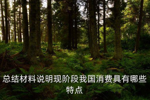 從材料的數(shù)據(jù)中反映了當(dāng)前消費(fèi)的什么特點(diǎn)，總結(jié)材料說(shuō)明現(xiàn)階段我國(guó)消費(fèi)具有哪些特點(diǎn)