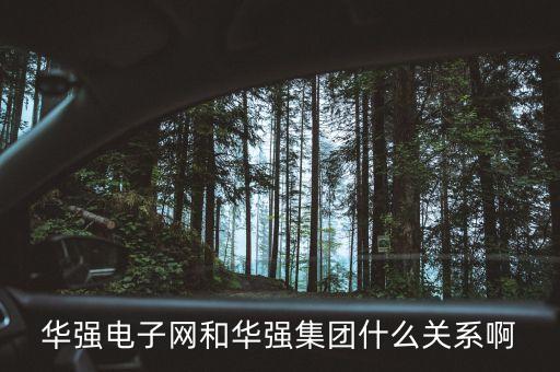 華強電子網(wǎng)和華強集團(tuán)什么關(guān)系啊