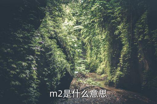 中國m2是什么，m2是什么意思