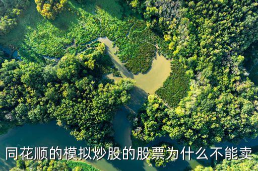 財達同花順股票為什么不能買賣，同花順的模擬炒股的股票為什么不能賣