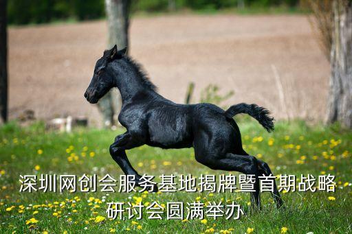  深圳網(wǎng)創(chuàng)會服務基地揭牌暨首期戰(zhàn)略研討會圓滿舉辦