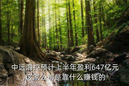  中遠(yuǎn)?？仡A(yù)計(jì)上半年盈利647億元,這家公司是靠什么賺錢的
