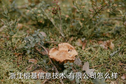 浙江影盟投資管理有限公司,浙江開(kāi)元酒店投資管理集團(tuán)有限公司