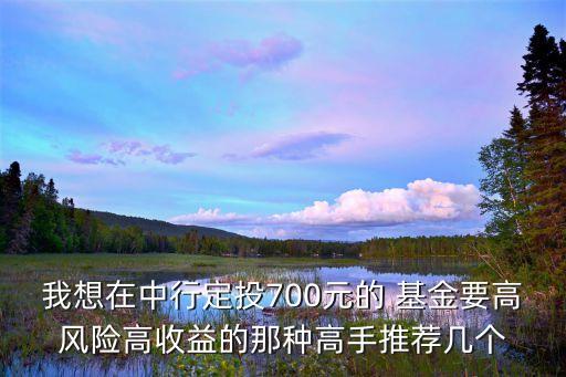 我想在中行定投700元的 基金要高風(fēng)險高收益的那種高手推薦幾個