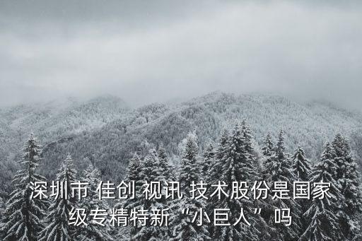 深圳市 佳創(chuàng) 視訊 技術(shù)股份是國(guó)家級(jí)專精特新“小巨人”嗎