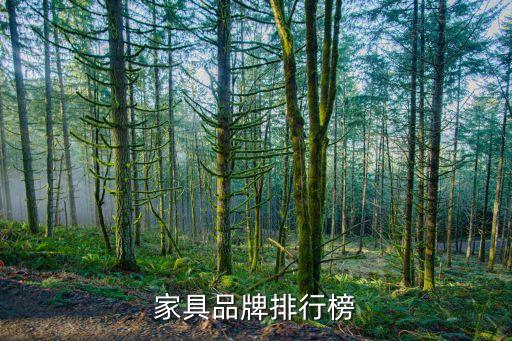 美克美家上?；春Ｂ返?上海美克美家哪個最大