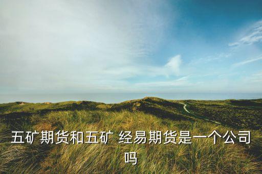 北京經易控股集團,易果文化控股集團