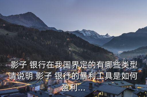  影子 銀行在我國(guó)界定的有哪些類型請(qǐng)說明 影子 銀行的暴利工具是如何盈利...
