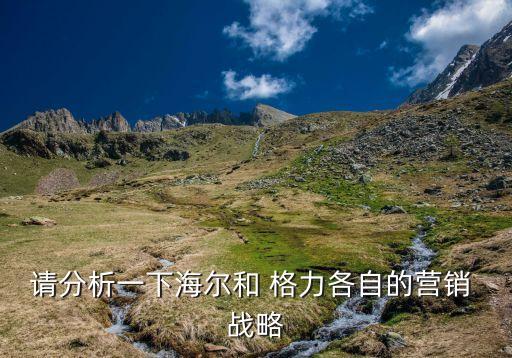 請分析一下海爾和 格力各自的營銷 戰(zhàn)略