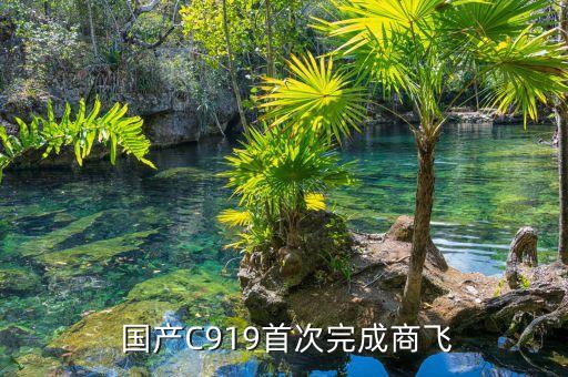 中國第一架國產客機