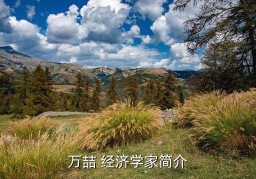 萬喆 經濟學家簡介