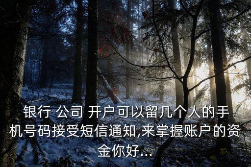  銀行 公司 開戶可以留幾個人的手機(jī)號碼接受短信通知,來掌握賬戶的資金你好...