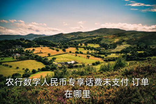 app農(nóng)業(yè)銀行充值訂單無(wú)法完成,農(nóng)業(yè)銀行APP無(wú)法截圖