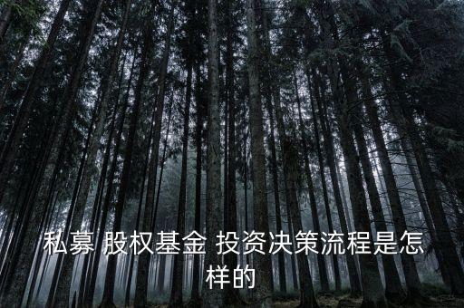 私募股權投資案例選擇,中國私募股權投資案例
