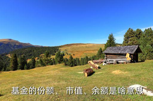  基金的份額、 市值、余額是啥意思