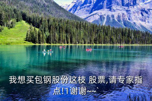 我想買包鋼股份這枝 股票,請專家指點(diǎn)!1謝謝~~`