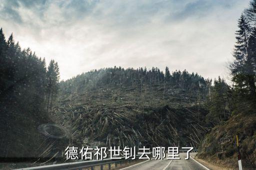 上海德佑和鏈家關系,上海鏈家簽合同用德佑