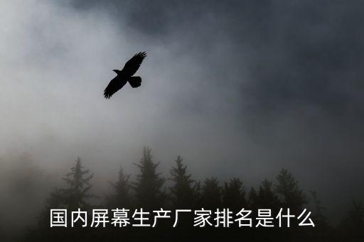 國內屏幕生產(chǎn)廠家排名是什么