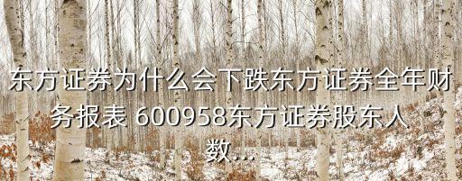 東方證券為什么會下跌東方證券全年財(cái)務(wù)報表 600958東方證券股東人數(shù)...