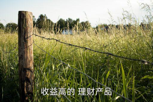 收益高的 理財產品