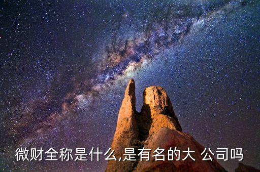 微財(cái)全稱(chēng)是什么,是有名的大 公司嗎