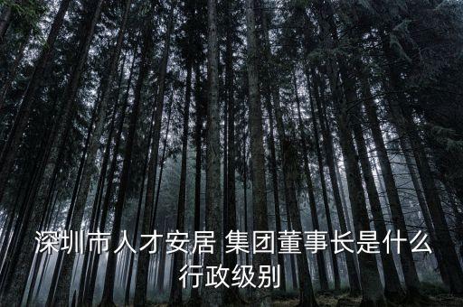  深圳市人才安居 集團(tuán)董事長是什么行政級別