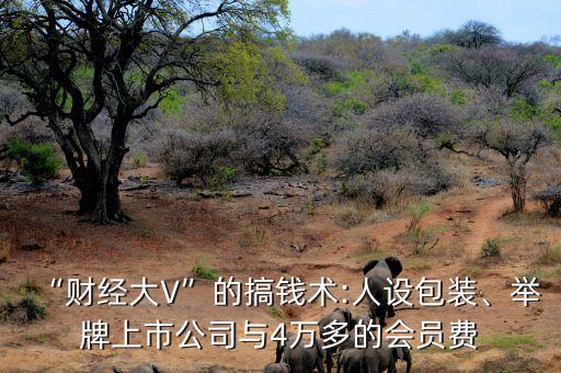 “財(cái)經(jīng)大V”的搞錢術(shù):人設(shè)包裝、舉牌上市公司與4萬多的會員費(fèi)