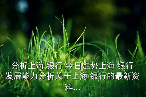 分析上海 銀行 今日走勢(shì)上海 銀行發(fā)展能力分析關(guān)于上海 銀行的最新資料...