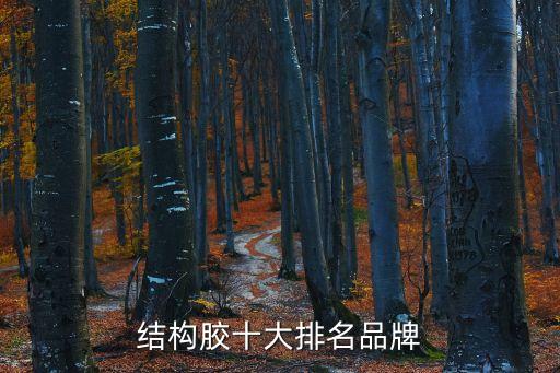 結構膠十大排名品牌