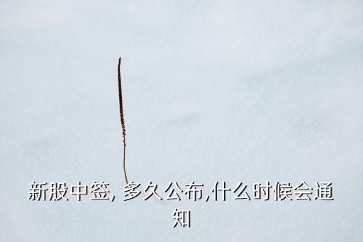 股票確認需要多久,股票買了多久確認份額