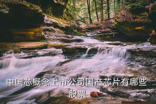中國芯概念上市公司國產芯片有哪些 股票