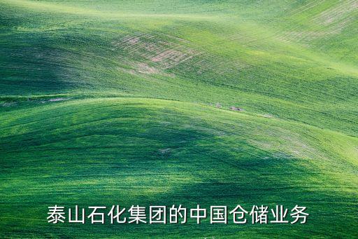 泰山石化集團(tuán)的中國(guó)倉儲(chǔ)業(yè)務(wù)