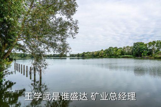 王學(xué)武是誰盛達 礦業(yè)總經(jīng)理