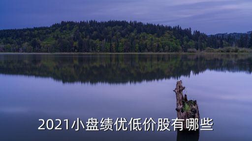 2021小盤績優(yōu)低價(jià)股有哪些