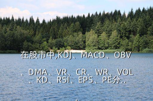 在股市中,KDJ、MACD、OBV、DMA、VR、CR、WR、VOL、KD、RSI、EPS、PE分...