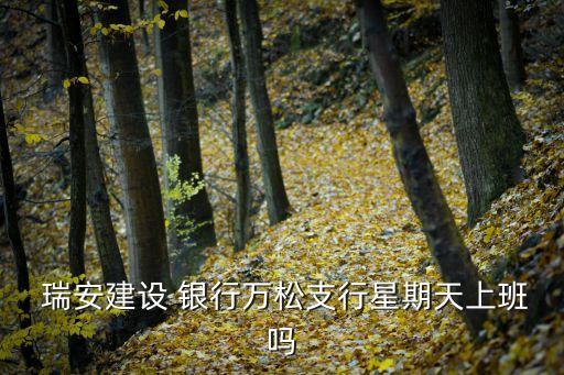  瑞安建設(shè) 銀行萬(wàn)松支行星期天上班嗎