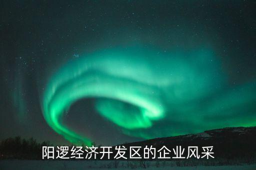 陽邏經濟開發(fā)區(qū)的企業(yè)風采
