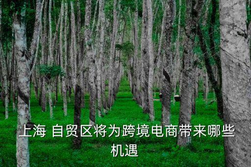  上海 自貿區(qū)將為跨境電商帶來哪些機遇