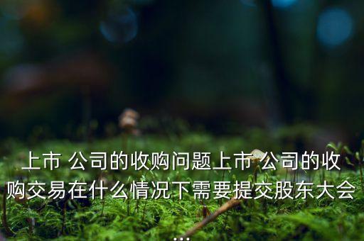 上市 公司的收購(gòu)問題上市 公司的收購(gòu)交易在什么情況下需要提交股東大會(huì)...