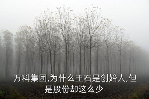  萬(wàn)科集團(tuán),為什么王石是創(chuàng)始人,但是股份卻這么少