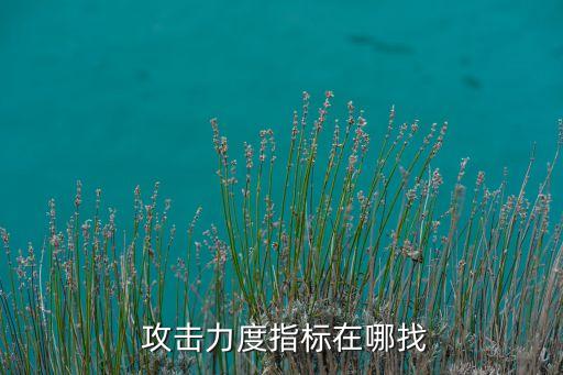  攻擊力度指標在哪找