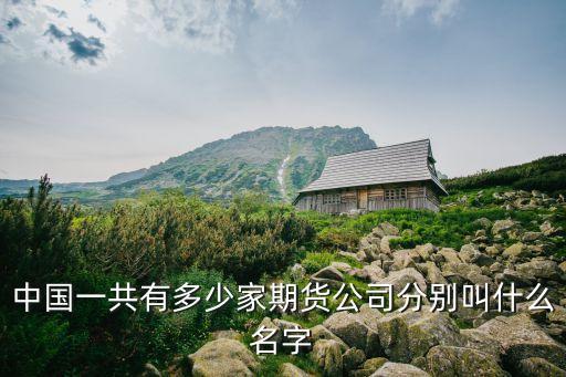 中國(guó)一共有多少家期貨公司分別叫什么名字
